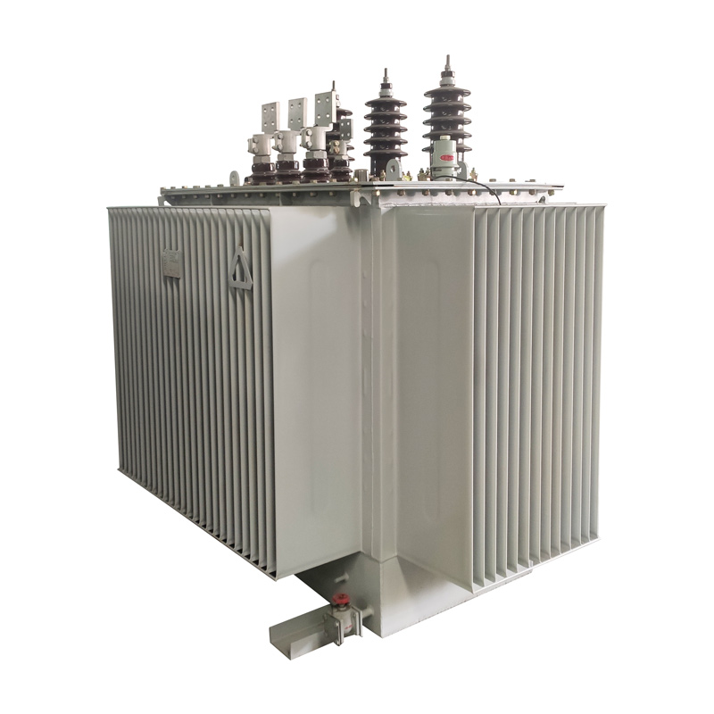 10KV S13 Series Fully sealed oil-immersed transformer